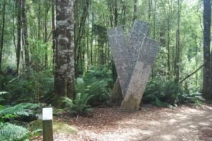 Liffey Falls.002 10h11m57s2019 02 28 1