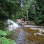 Liffey Falls.014 10h23m18s2019 02 28