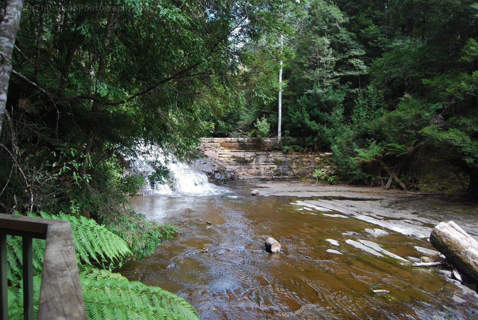 Liffey Falls.014 10h23m18s2019 02 28
