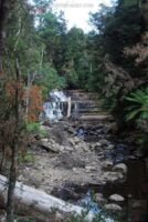 Liffey Falls.015 10h25m50s2019 02 28 1