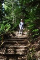 Liffey Falls.016 10h33m45s2019 02 28 1