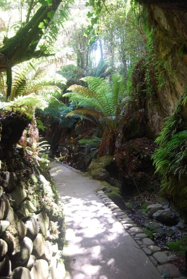 Marakoopa Caves.043 11h04m27s2019 03 02