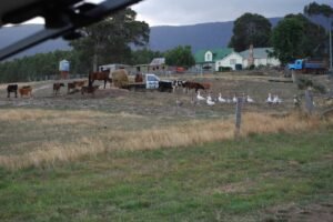 Old Liffey School.025 18h49m55s2019 02 27