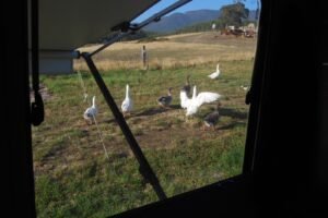 Old Liffey School.036 07h35m41s2019 03 01