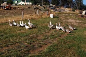 Old Liffey School.038 07h36m08s2019 03 01