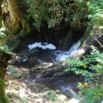 Philosopher Falls.029a 11h15m40s2019 03 15