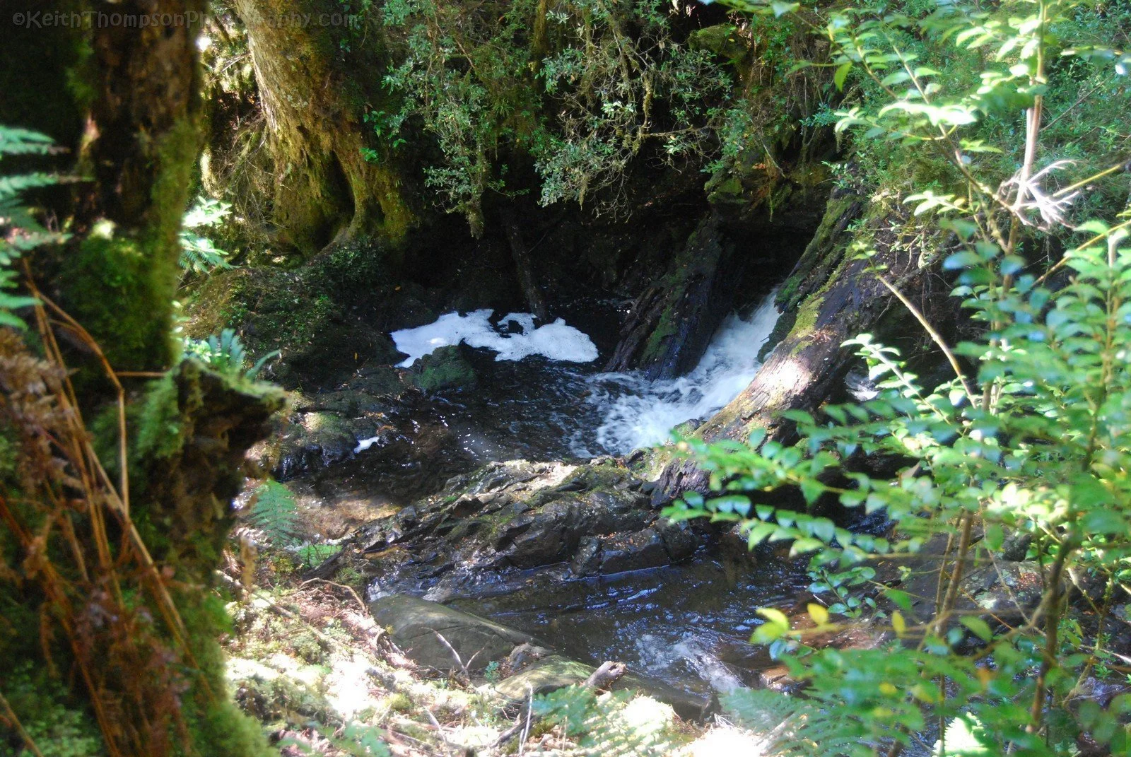 Philosopher Falls.029a 11h15m40s2019 03 15