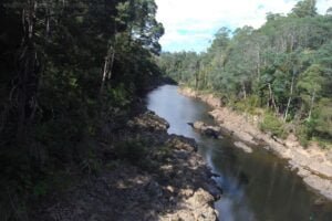 The Tarkine Drive Kanunnah Bridge.002 14h19m36s2019 03 22