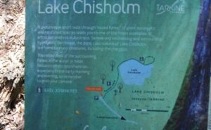 The Tarkine Drive Lake Chisholm.002cr 13h03m33s2019 03 22