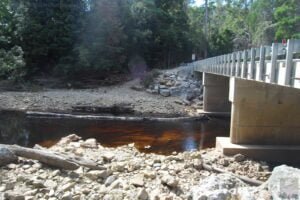 The Tarkine Drive Rapid River.006 12h14m51s2019 03 22