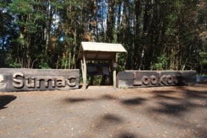 The Tarkine Drive Sumac Lookout.002 14h07m17s2019 03 22