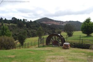 Waratah.009 11h20m35s2019 03 14