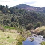 Waratah.021 11h36m47s2019 03 14