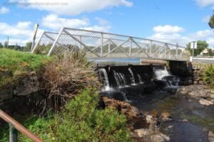 Waratah.032 13h44m20s2019 03 14