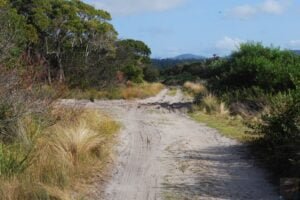 Dianas Basin St Helens.124 14h25m41s2019 04 16