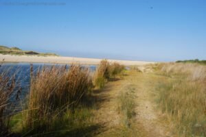 Dianas Basin St Helens.129 14h29m43s2019 04 16