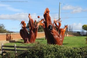 Campbell Town and Blackburn Park.012 11h39m46s2019 04 25