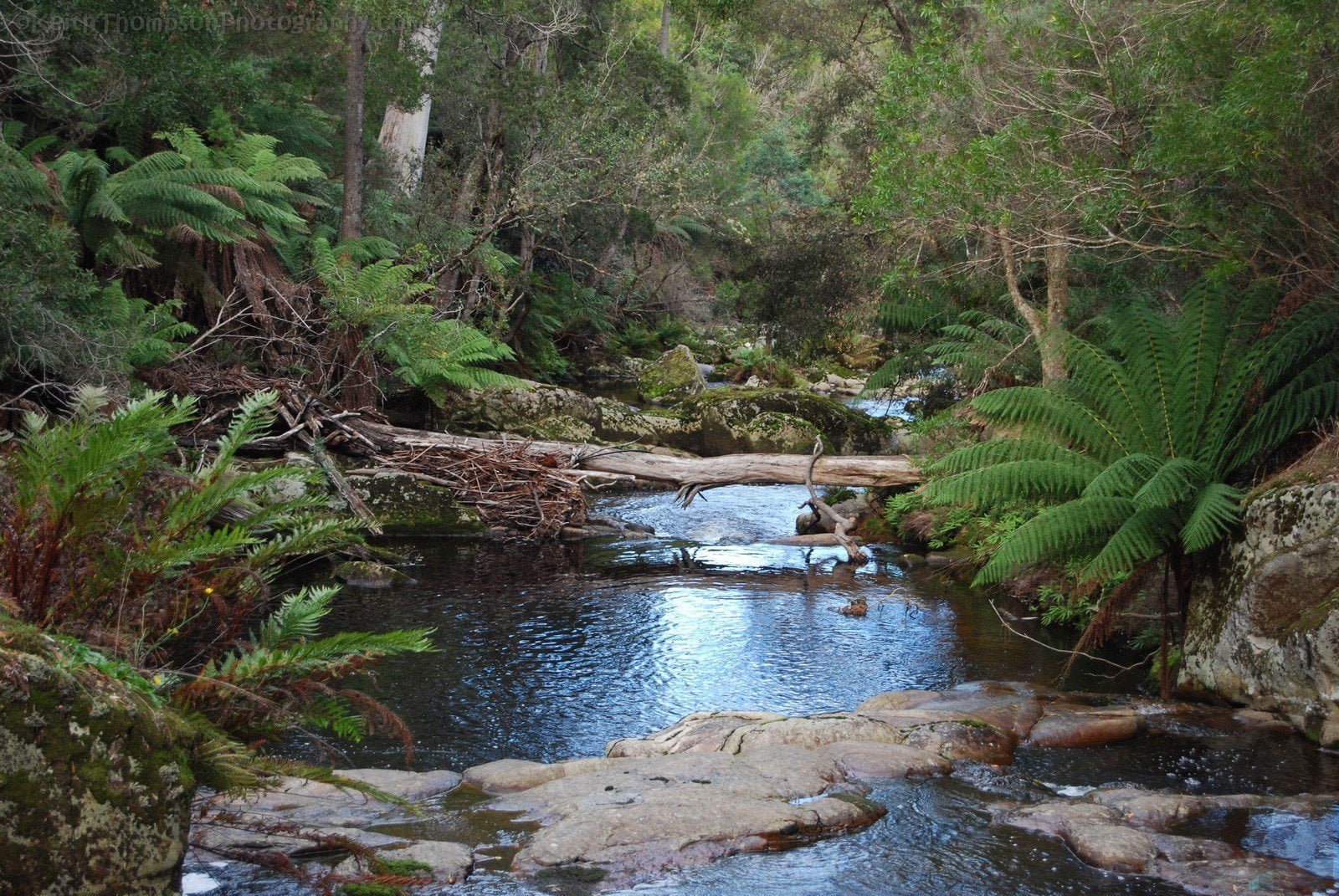 Hall's Falls, Pyengana | All Over Australia