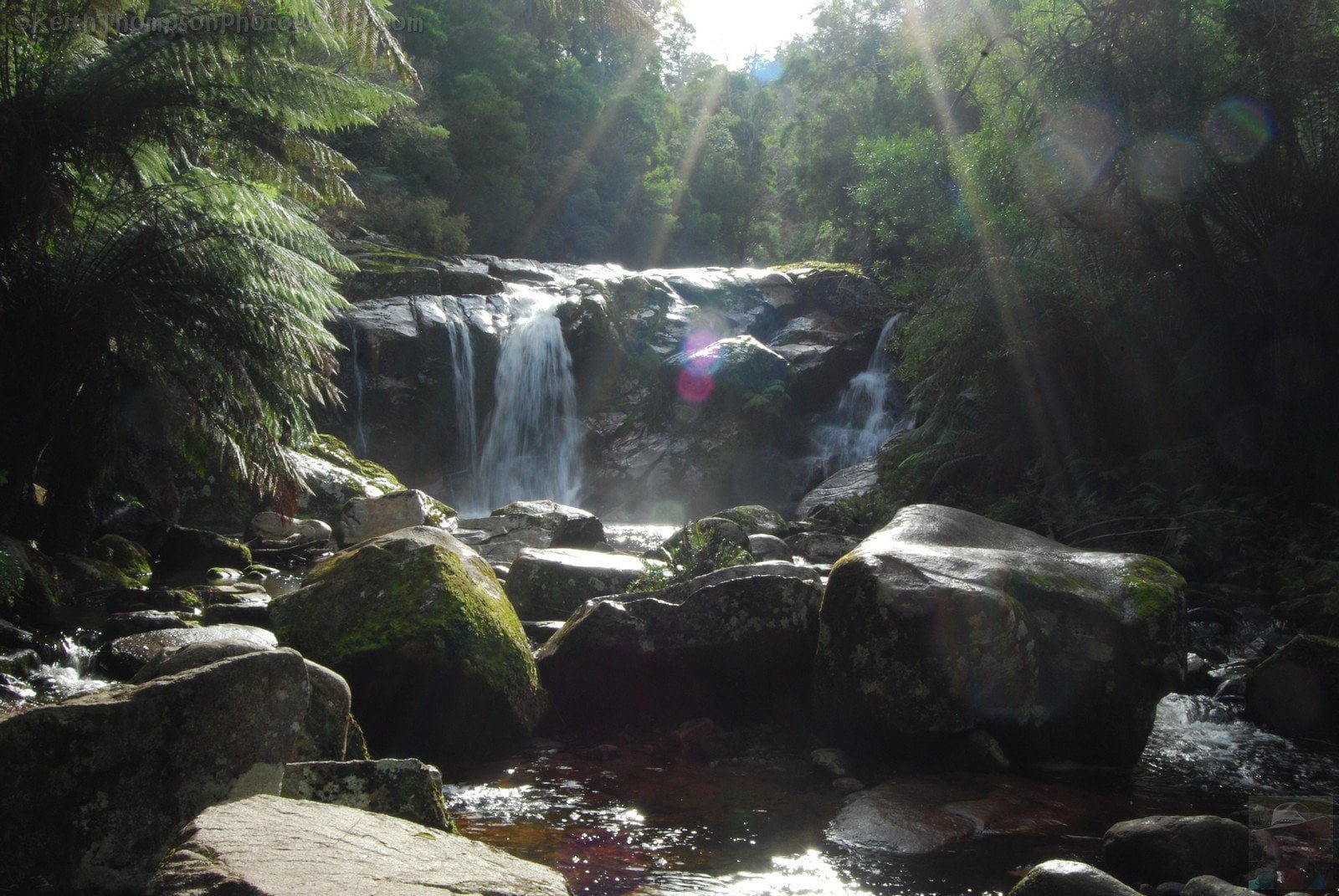 Halls Falls Pyengana.041 11h46m01s2019 05 22