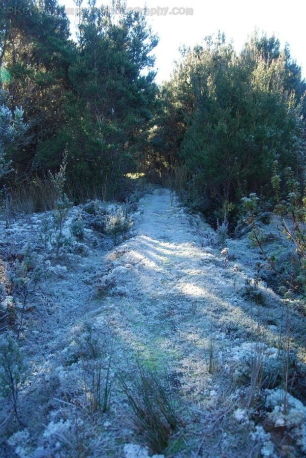 Mount Michael Blue Tier.005 10h58m32s2019 06 23