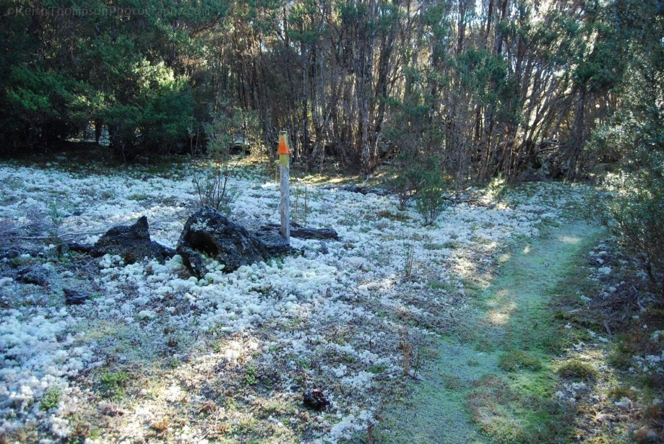 Mount Michael Blue Tier.019 11h07m16s2019 06 23