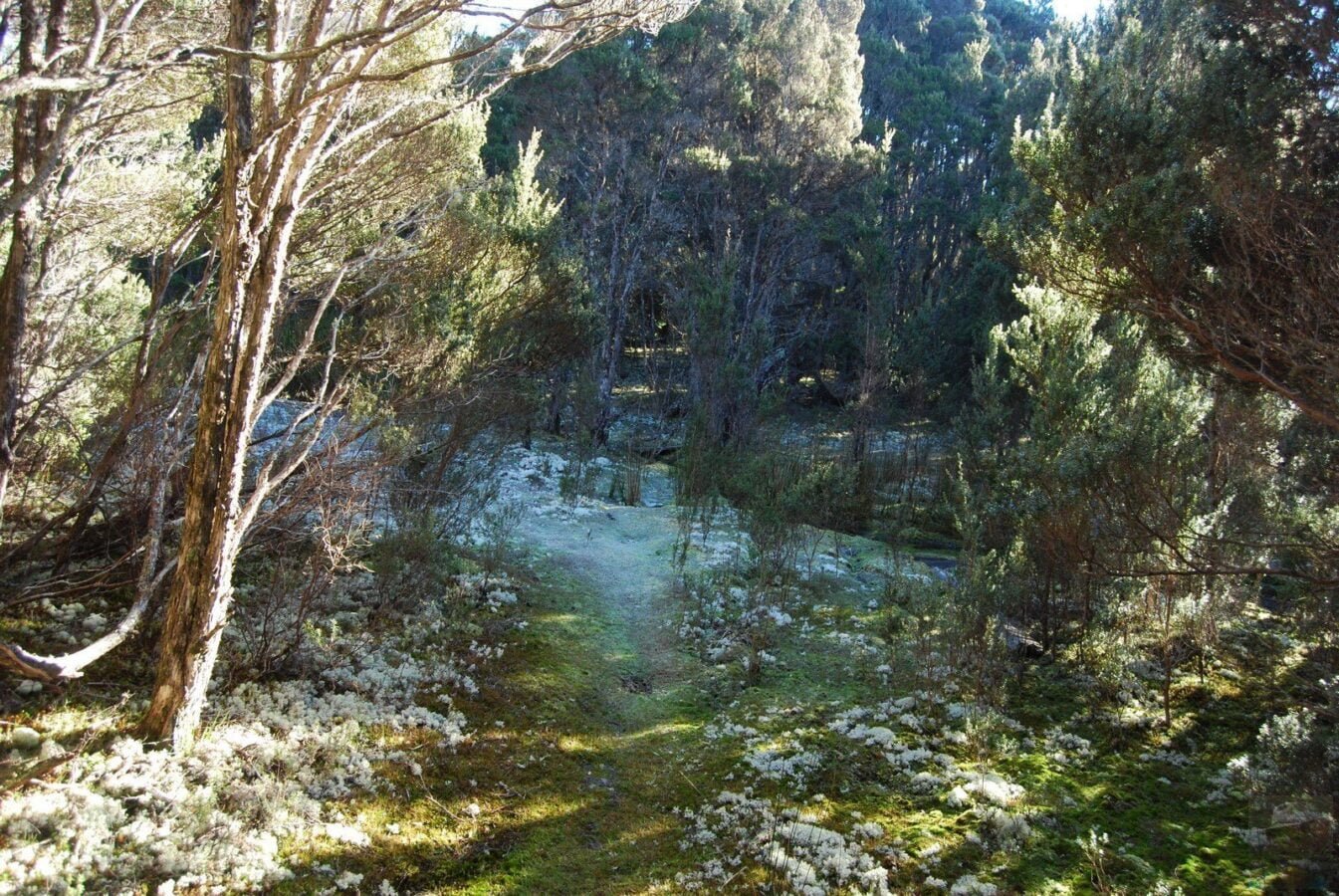 Mount Michael Blue Tier.020 11h08m06s2019 06 23