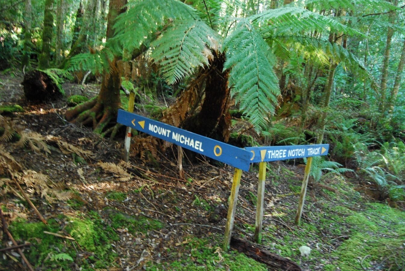 Mount Michael Blue Tier.030 11h17m39s2019 06 23