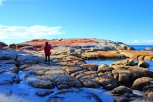 Cosy Corner North.016hdr 10h58m06s2019 07 13