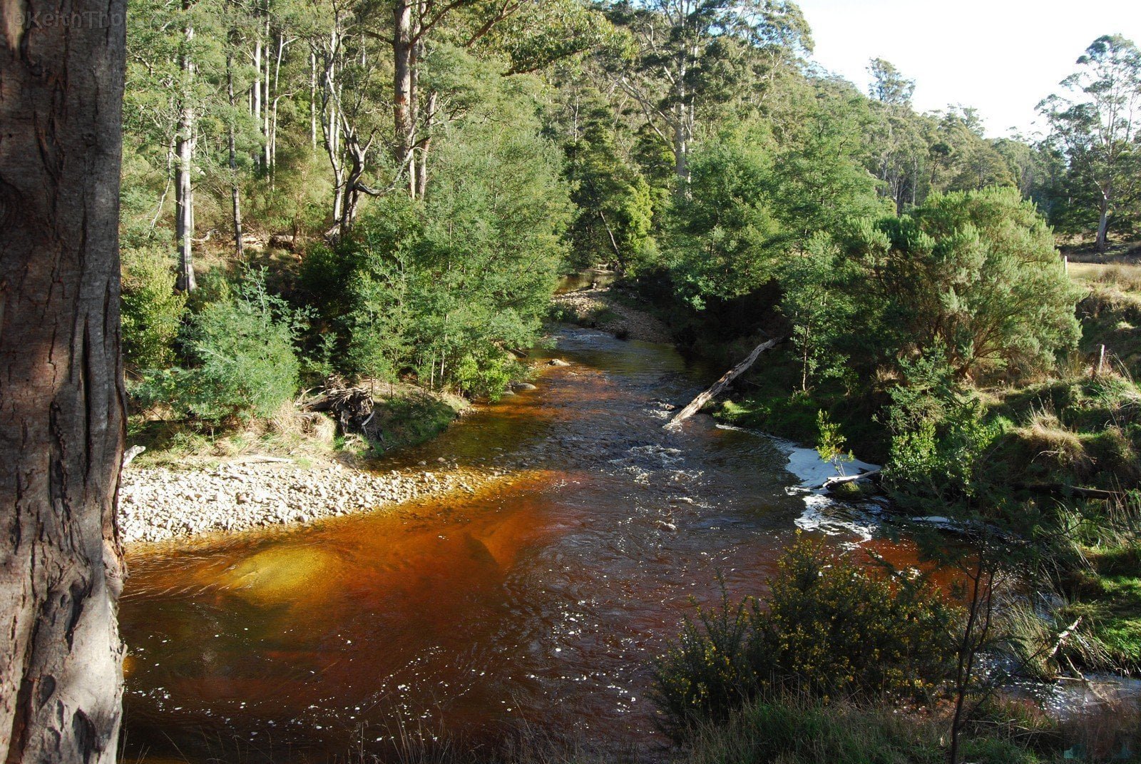 Goulds Country.059 14h21m54s2019 07 12