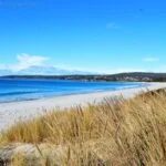 Swimcart Beach.001hdr 11h36m50s2019 07 13