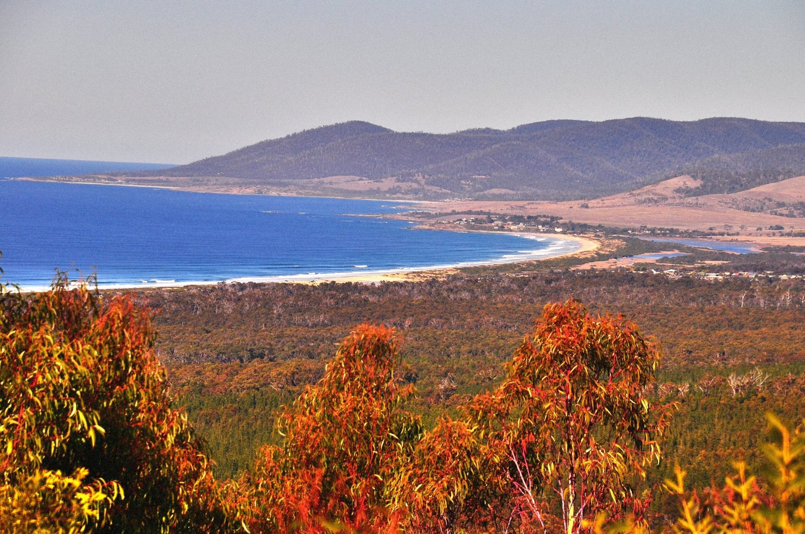 Loila Tier Lookout.002cp 11h36m22s2019 07 31 scaled