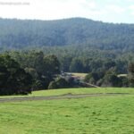 Weldborough.001 11h44m14s2019 07 03