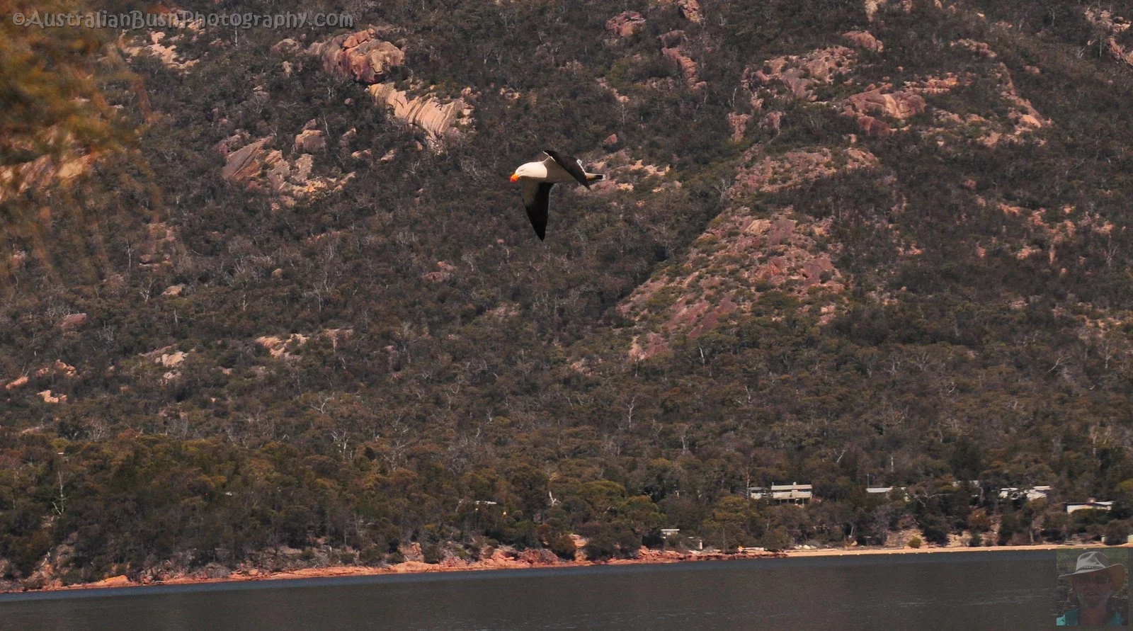 Coles Bay.012 11h57m08s2019 09 23