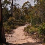 Coal Mines Historic Site.038 10h10m40s2019 10 24