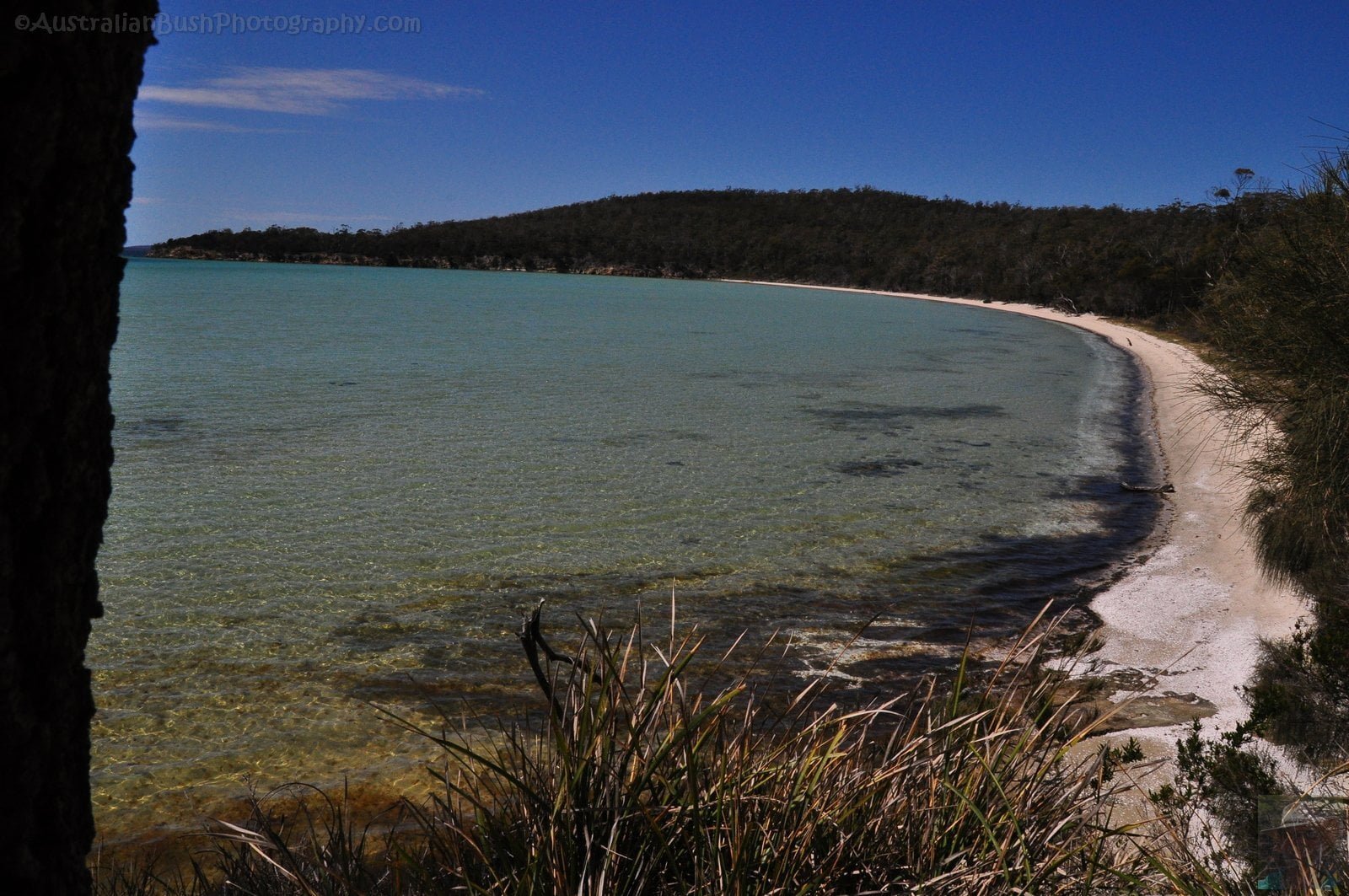 Lime Bay.020 12h35m27s2019 10 22