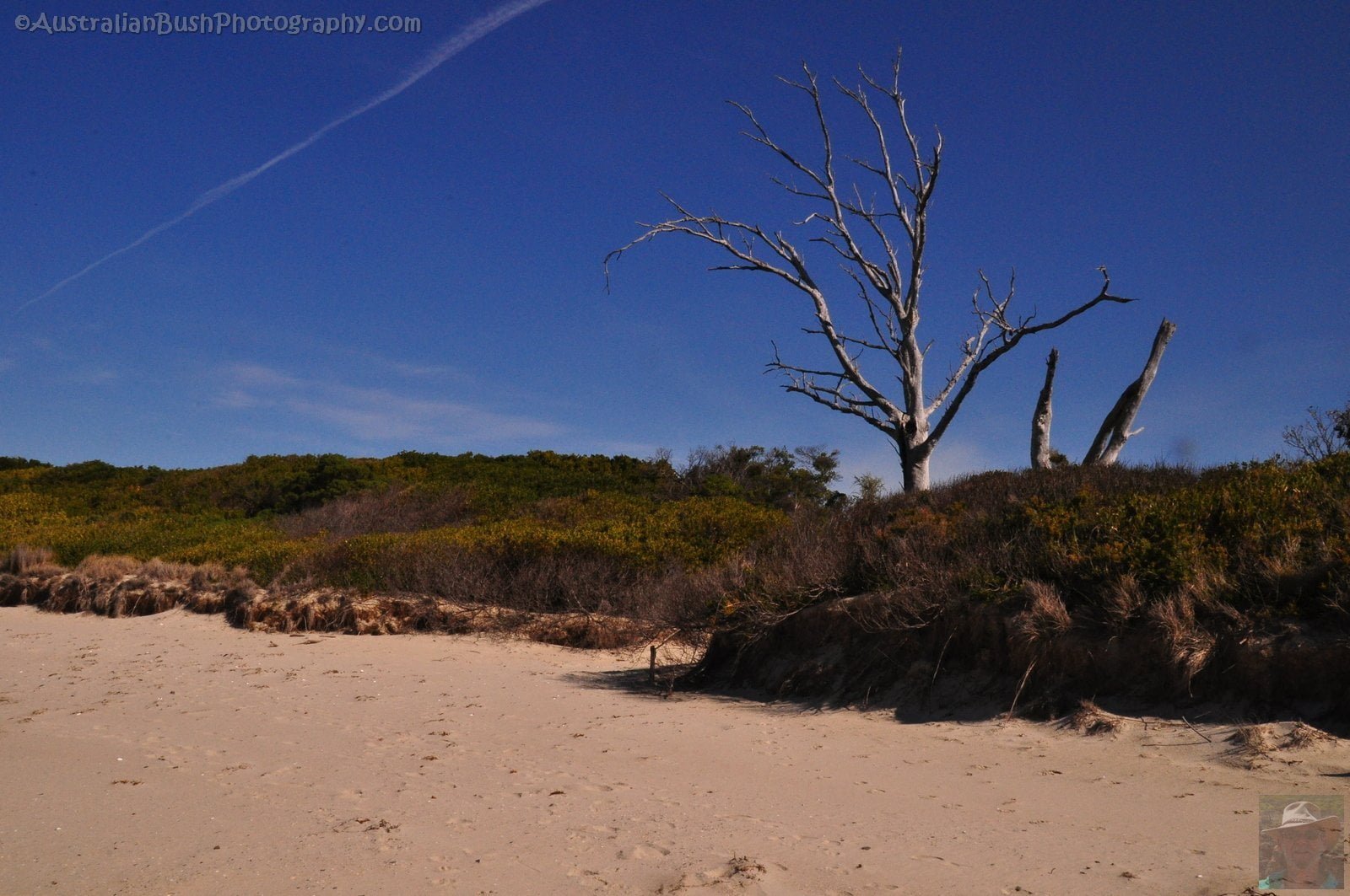 Mayfield Bay.017 14h10m16s2019 09 26 1
