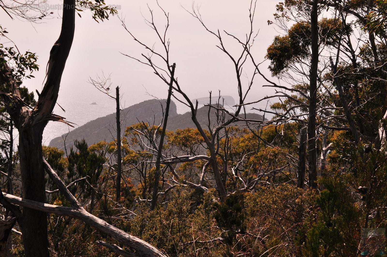 Cape Hauy Walk.026 10h02m39s2019 10 31