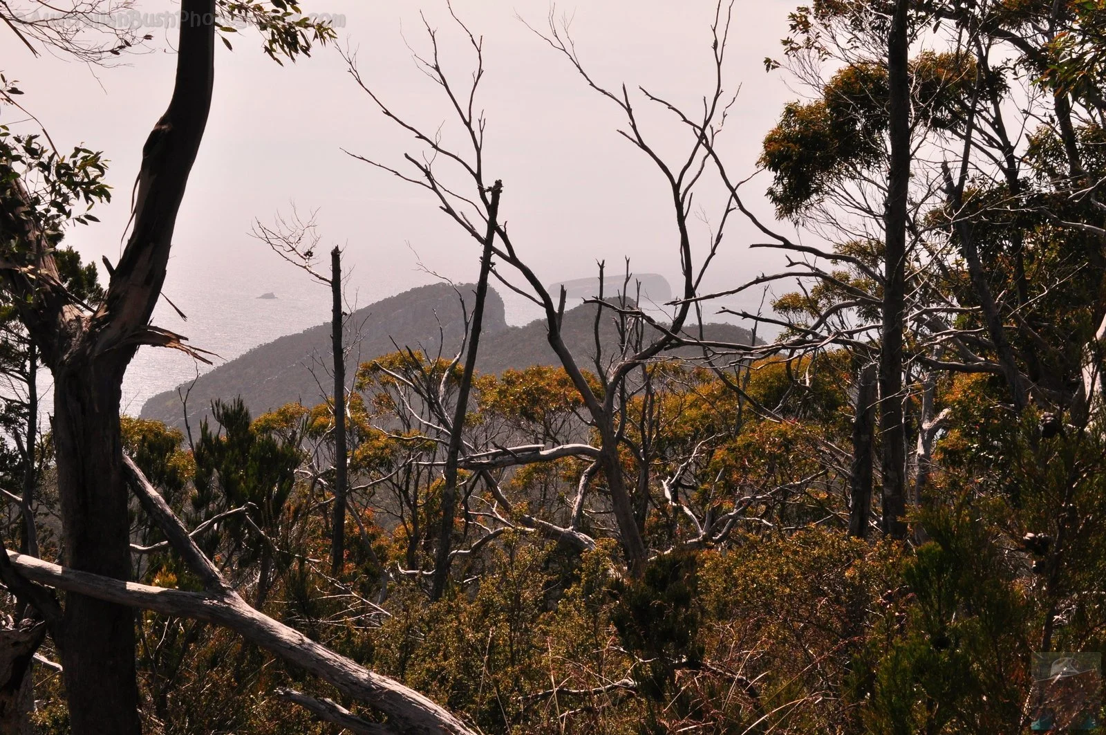 Cape Hauy Walk.026 10h02m39s2019 10 31