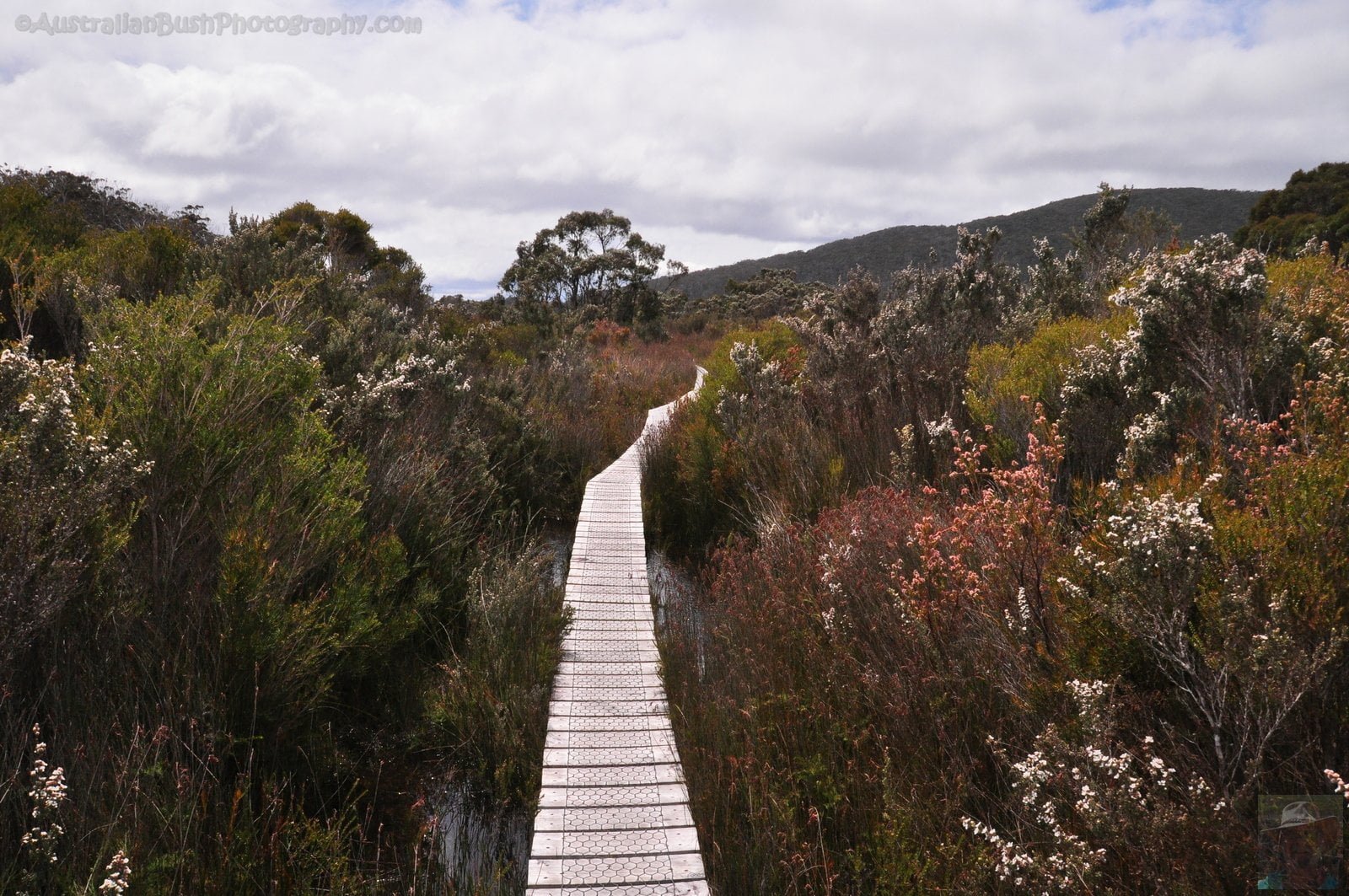 South Coast Track.035 10h45m36s2019 11 14