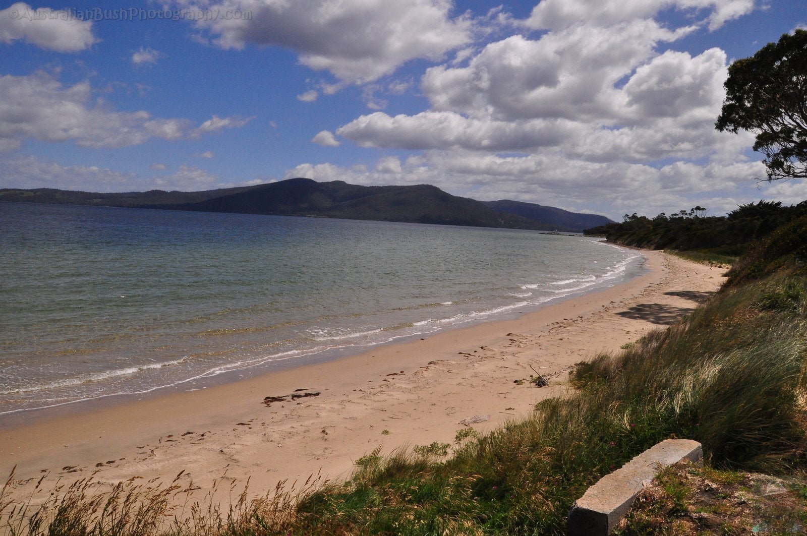 Alonnah.002 10h34m02s2019 11 28