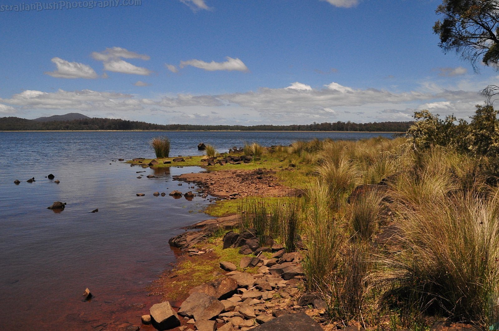 Bronte Lagoon All Over Australia