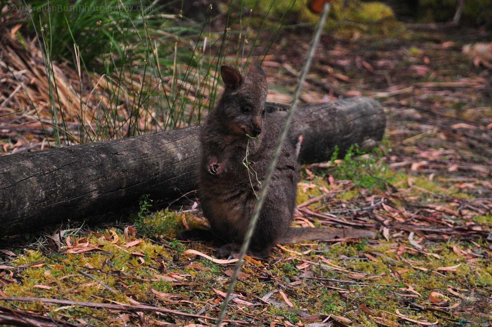 Edgar Dam and Campground.008 13h52m28s2020 01 15