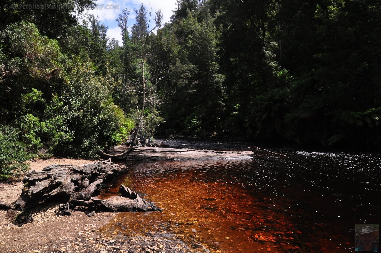 Styx River Walk.014ip 13h35m12s2020 01 27