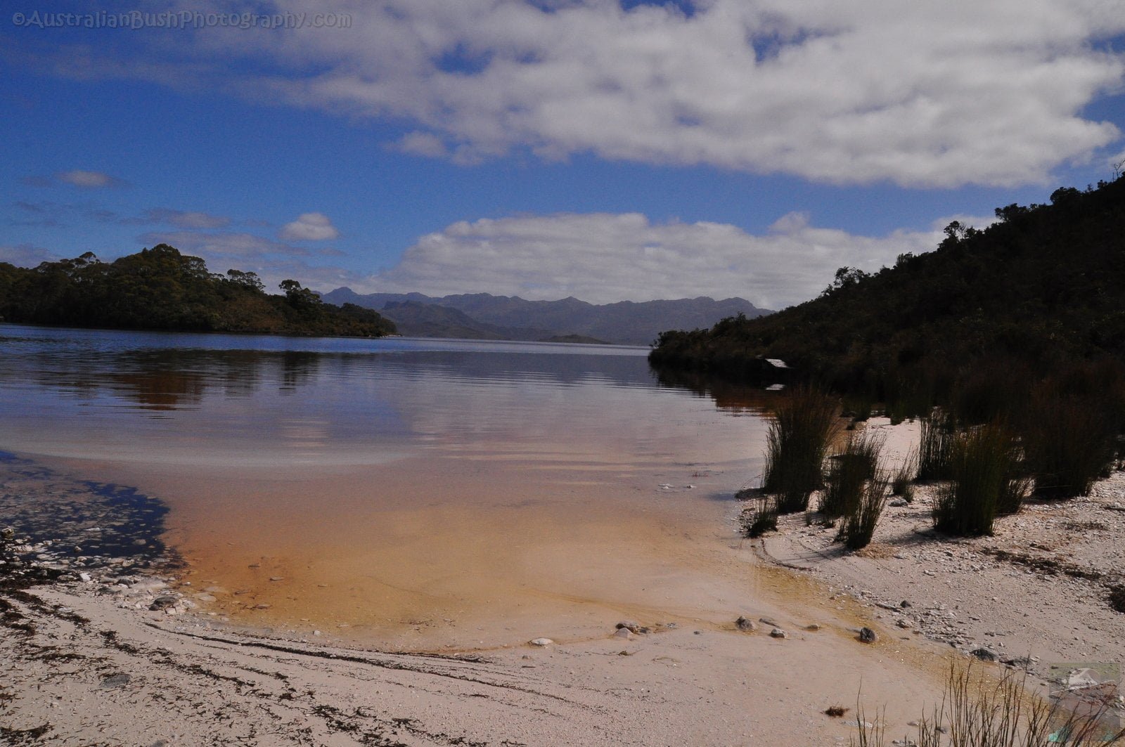 Teds Beach Lake Pedder.015 14h59m46s2020 01 12