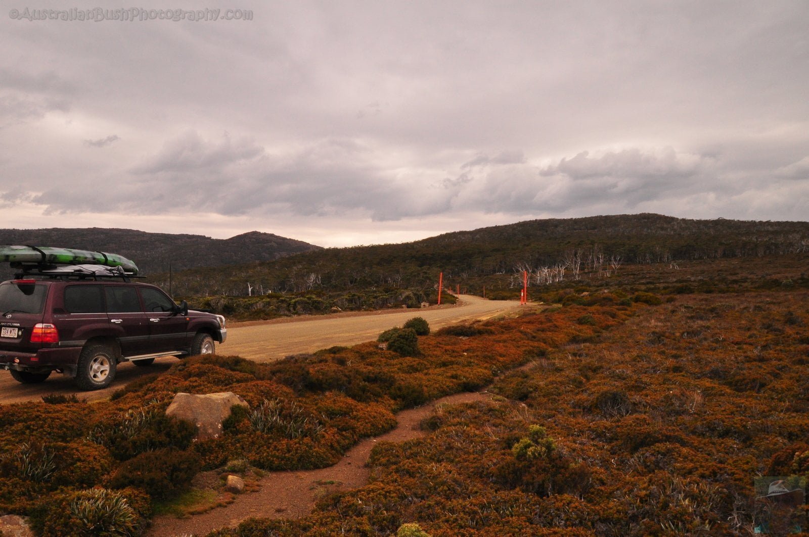 Wombat Moor.059 15h32m26s2020 01 22