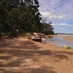 Alum Cliffs Track Kingston Beach.001 14h23m35s2020 01 29