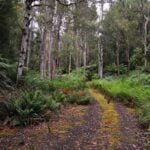 Carbon CircuitStyx River.005 11h36m53s2020 01 27 1