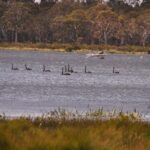 Penstock Lagoon.013 13h35m08s2020 02 02