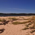 Eden.005 11h58m51s2020 03 13