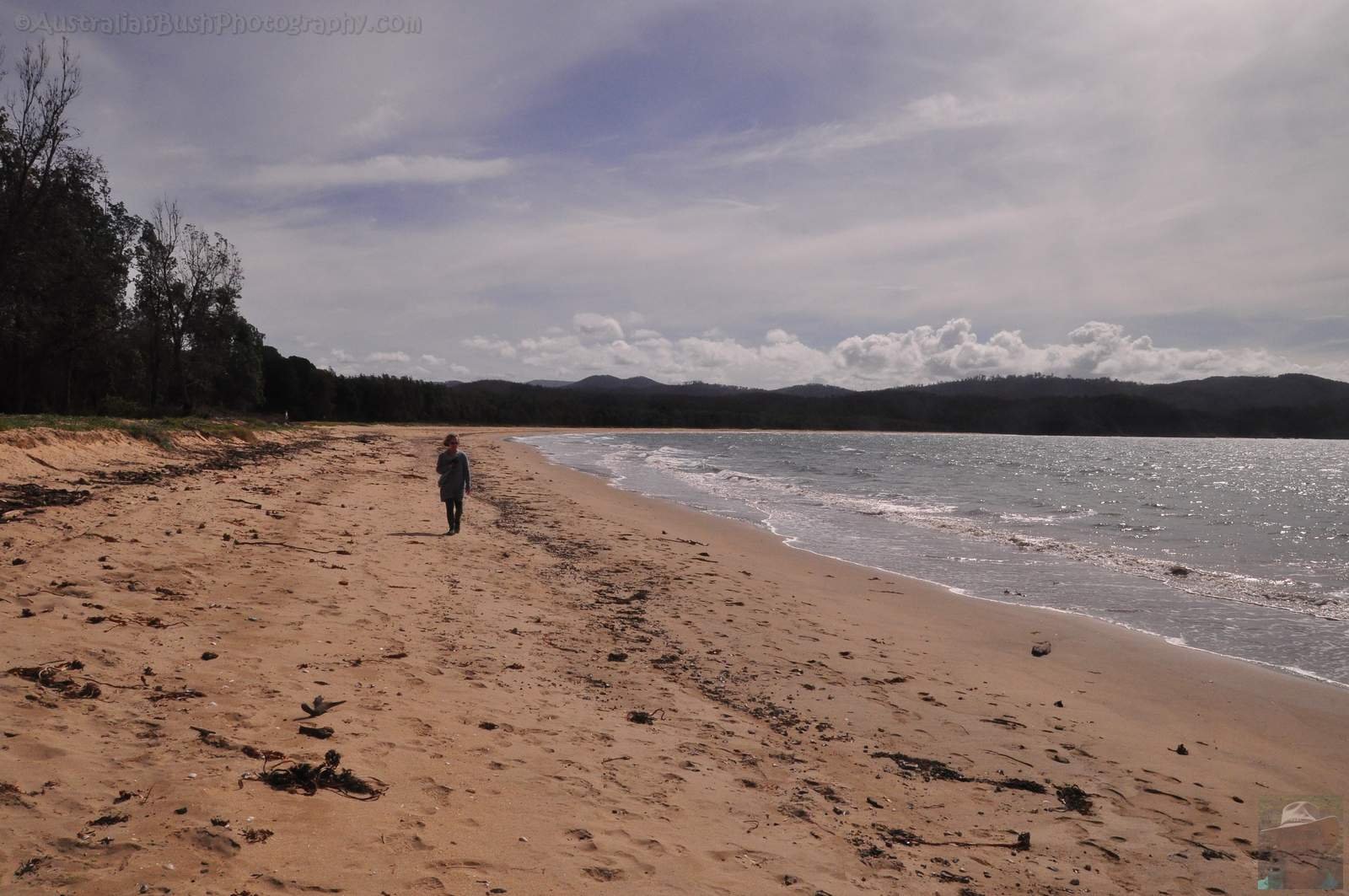 Boydtown Beach and Bays.002 14h13m15s2020 03 28